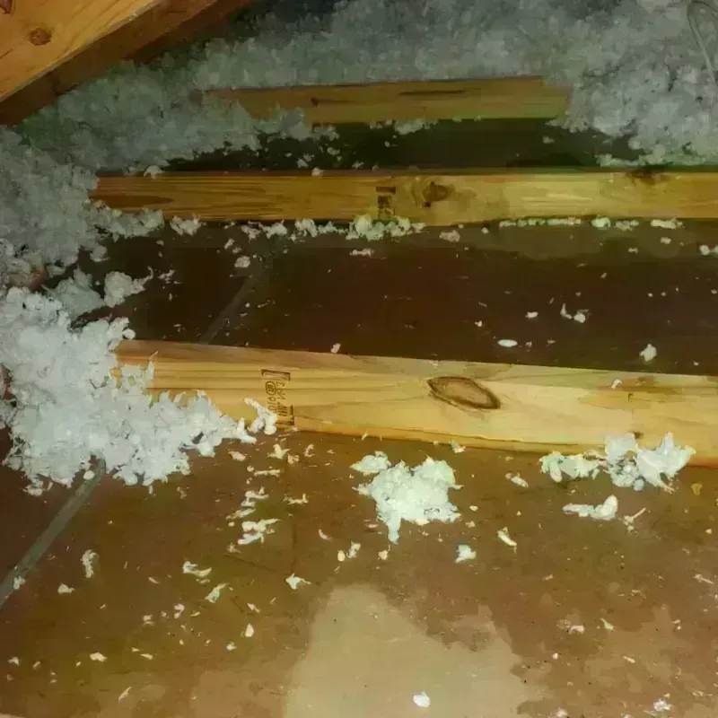 Attic Water Damage in Melrose, MN